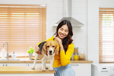 Happy asian woman enjoying her dog pet in the home, Friendship pet and human lifestyle concept.の写真素材