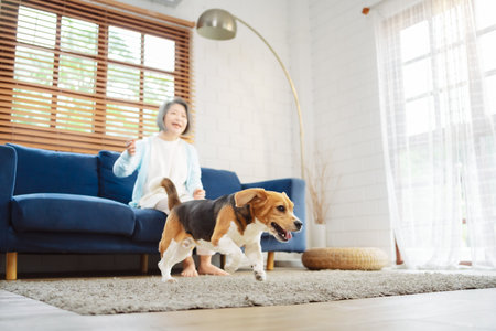 Happy asian senior woman retirement enjoying her dog pet running in the home, Friendship pet and human lifestyle concept.の写真素材