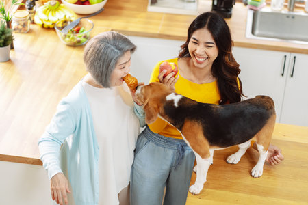 Happy asian senior woman retirement and daughter enjoying her dog pet in the home, Friendship pet and human lifestyle concept.の写真素材