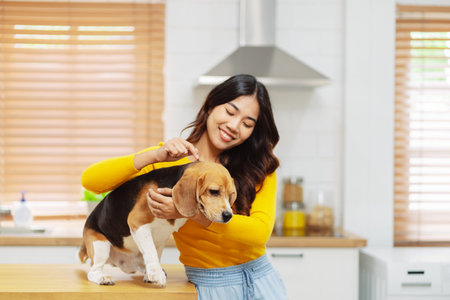 Happy asian woman enjoying her dog pet in the home, Friendship pet and human lifestyle concept.の写真素材