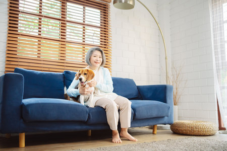 Happy asian senior woman retirement enjoying her dog pet running in the home, Friendship pet and human lifestyle concept.の写真素材