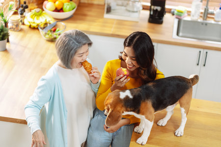 Happy asian senior woman retirement and daughter enjoying her dog pet in the home, Friendship pet and human lifestyle concept.の写真素材