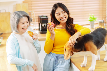 Happy asian senior woman retirement and daughter enjoying her dog pet in the home, Friendship pet and human lifestyle concept.の写真素材