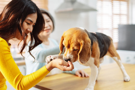 Happy asian senior woman retirement and daughter enjoying her dog pet in the home, Friendship pet and human lifestyle concept.の写真素材