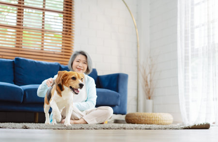 Happy asian senior woman retirement enjoying her dog pet running in the home, Friendship pet and human lifestyle concept.の写真素材