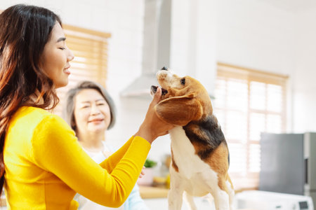 Happy asian senior woman retirement and daughter enjoying her dog pet in the home, Friendship pet and human lifestyle concept.の写真素材