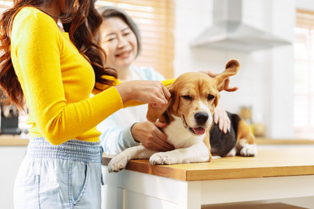Happy asian senior woman retirement and daughter enjoying her dog pet in the home, Friendship pet and human lifestyle concept.の写真素材