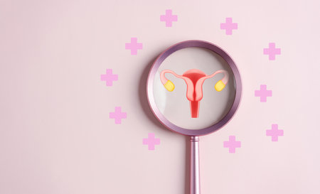 Checkup ovarian uterus reproductive system with plus sign in hospital, women's health, PCOS, ovary cancer treatment and examine, Healthy feminine concept.の写真素材