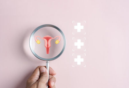 Checkup ovarian uterus reproductive system with plus sign in hospital, women's health, PCOS, ovary cancer treatment and examine, Healthy feminine concept.の写真素材