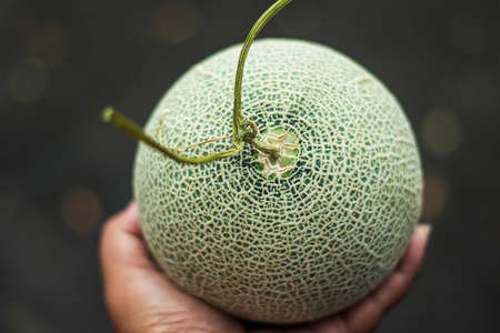 Close up hand holding fruitの写真素材