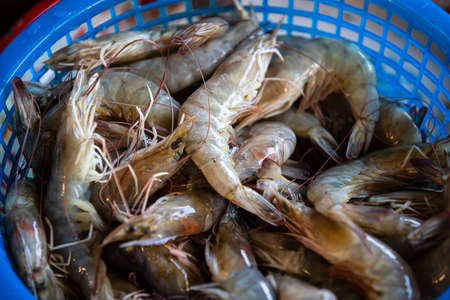 raw shrimp in marketの写真素材