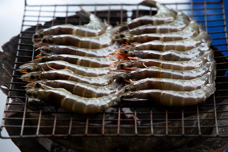 grilled shrimp on a grillの写真素材