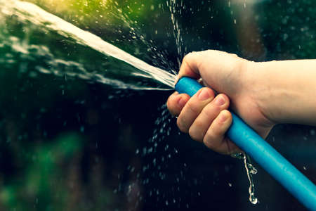 watering in the gardenの写真素材