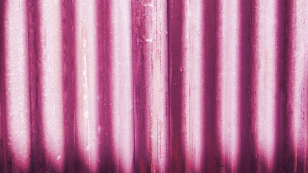 Pink corrugated iron sheet texture. Abstract background and texture for design.の写真素材
