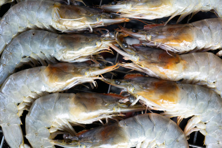 Close up of fresh shrimps on the grill in the marketの写真素材