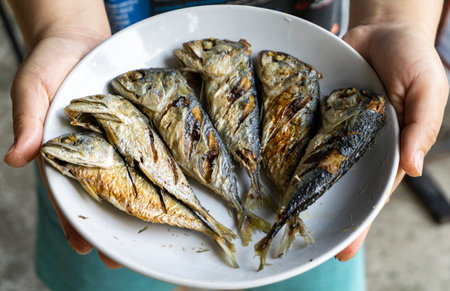 Fried mackerel in a white plate in the hands of a womanの写真素材