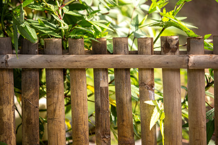 Bamboo fence in the garden with green leaf background, Thailand.の写真素材