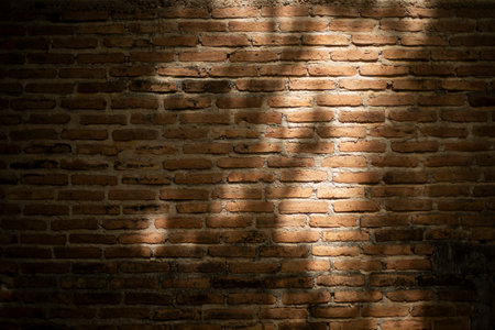 Brick wall with shadow of tree in dark tone. Abstract background.