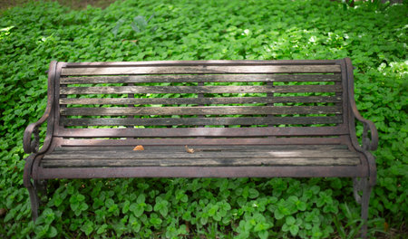 Old wooden bench in the garden with green grass background. Selective focus.の写真素材