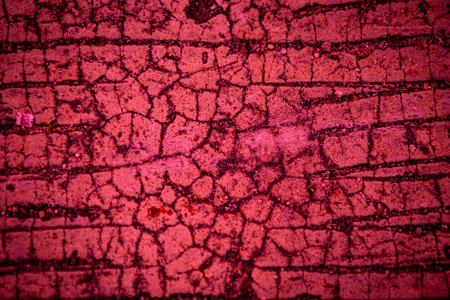 Grunge red wall background or texture with vignette.の写真素材