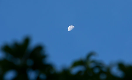 Crescent moon in the blue sky with green leaf background, Thailand.