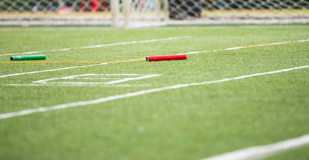 green grass and marking lines. Close up.