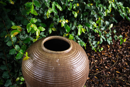 Clay vase on the ground in the garden with green leaves