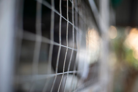 Close up of metal mesh fence with blurred background. Abstract background.の写真素材