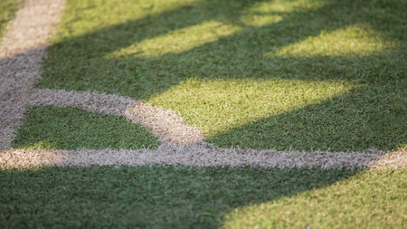 Soccer field line with shadow of tree on green grass background.
