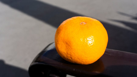 Orange fruit on a chair in the shadow of the sun, close upの写真素材