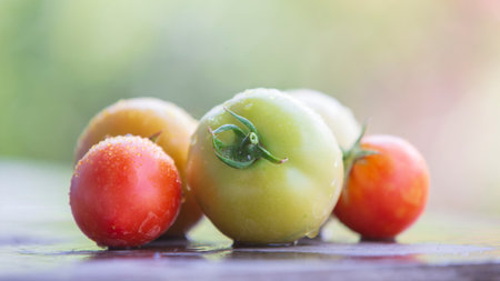 Tomatoes on wooden table in garden, shallow depth of field.の写真素材