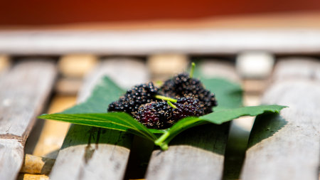 Mulberry fruits with leaves on wooden table,の写真素材