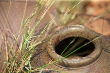 Old clay pot on the grass in the garden. Shallow depth of fieldの写真素材