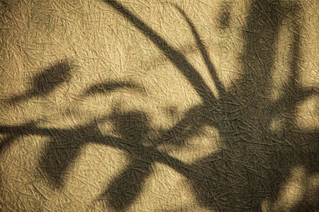 abstract shadow of the tree on the cement wall, background texture