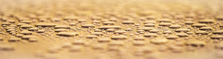 Water drops on a surface. Abstract background.の写真素材