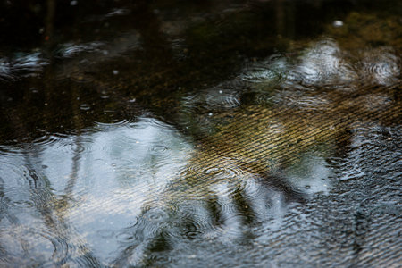 Raindrops on the pavement in the rain. Reflection of trees in the puddle.の写真素材