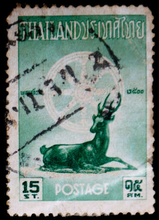 half of the Buddhist eraのeditorial素材