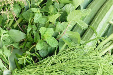 Vegetable garden homeの写真素材