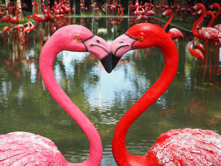 Couple flamingo bird model post with heart symbolの写真素材