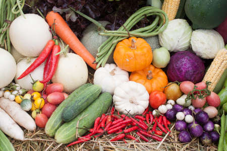 Vegetablesの写真素材