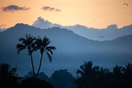 silhouette of twin coconut tree with dark mountain and Parachute Flying sunset time background at vang vieng Laoslの写真素材
