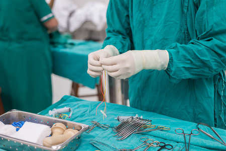 scrub nurse preparing tools for operationの写真素材