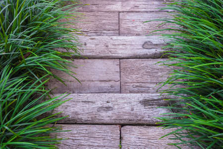 the walkwayの写真素材