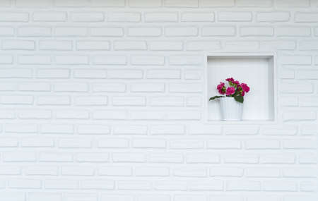 vase in white wallの写真素材