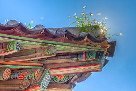 Korean style roof