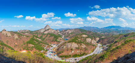 Panorama and skyline Sherry blossoms festival in South Koreaの写真素材