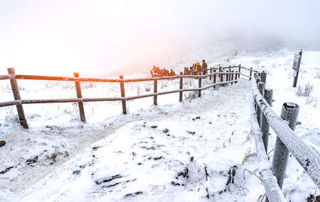 Activities climbing in winterの写真素材