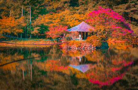 Pavilion and flower in the waterの写真素材