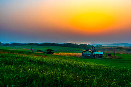 Beautiful sunrise and privacy at countryside farmの写真素材