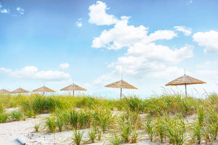 Umbrella on beachの写真素材